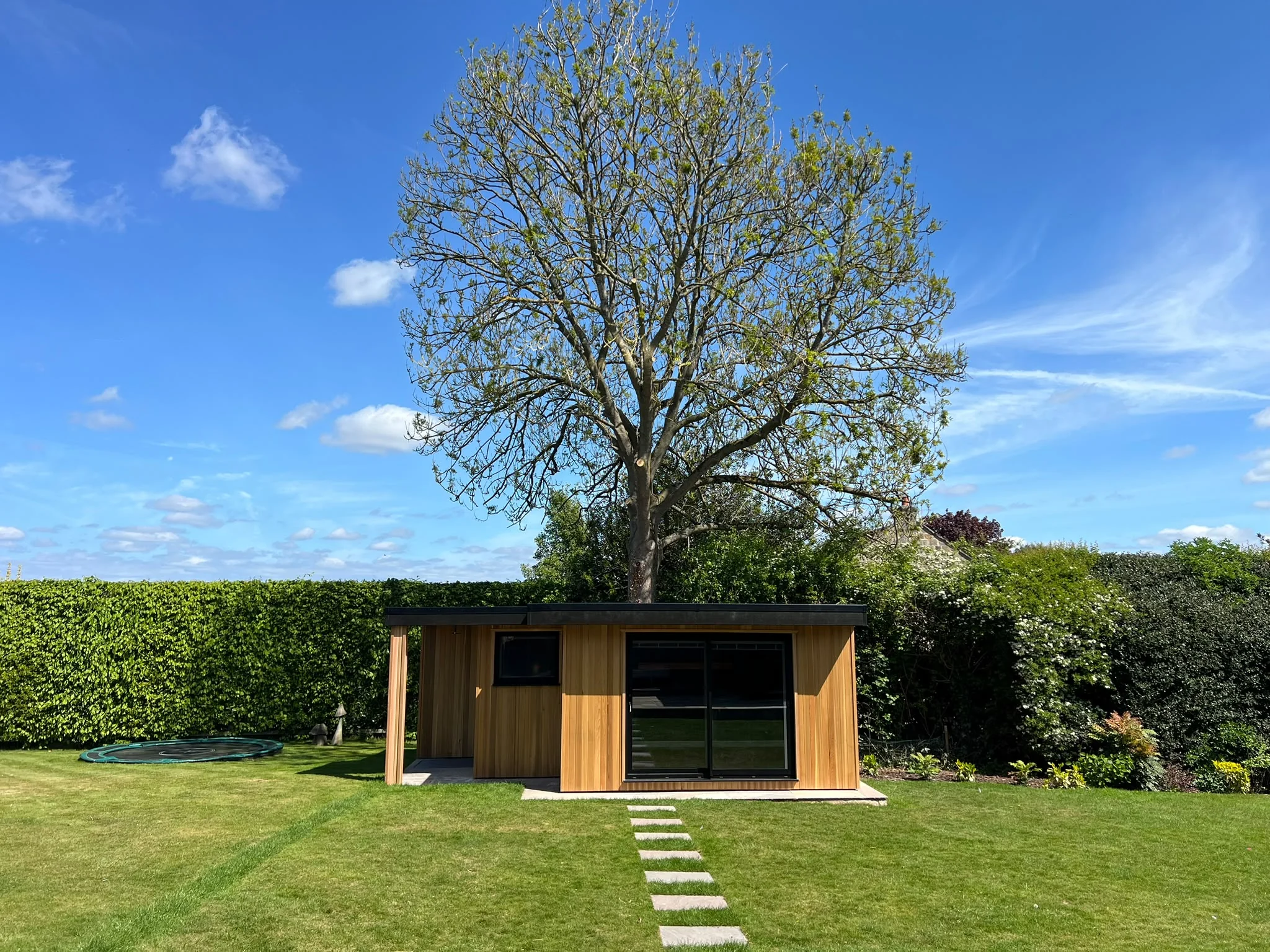 Timber-clad garden room with dark-framed glazing, set beneath a mature tree at the end of a lawn